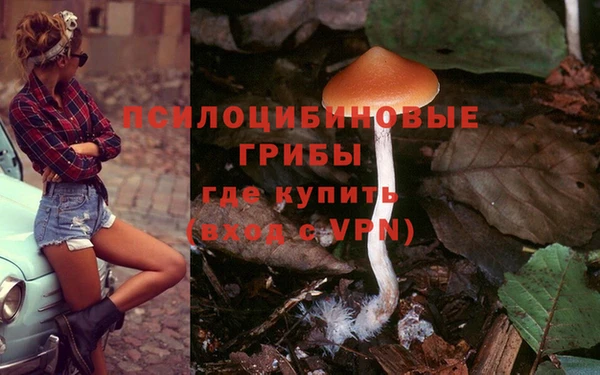 COCAINE Краснослободск