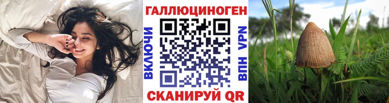 Псилоцибиновые грибы прущие грибы  Чегем 
